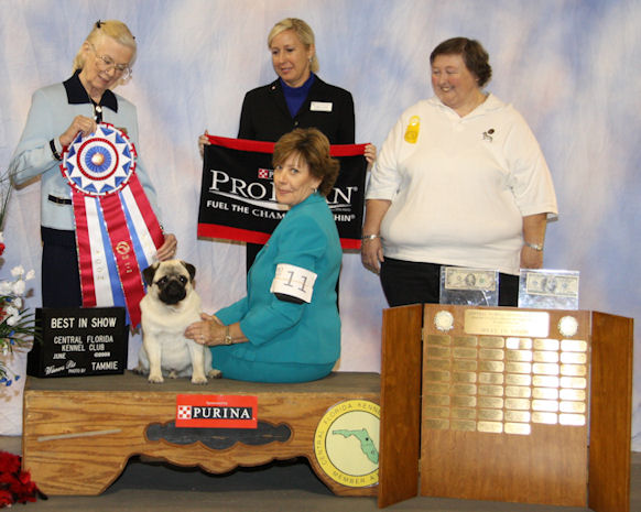 NCPC Pug of the Month